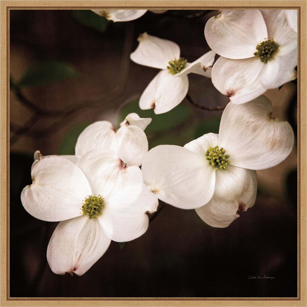 White Dogwood Flowers III by Debra Van Swearingen 16-in. W x 16-in. H. Canvas Wall Art Print Framed in Natural